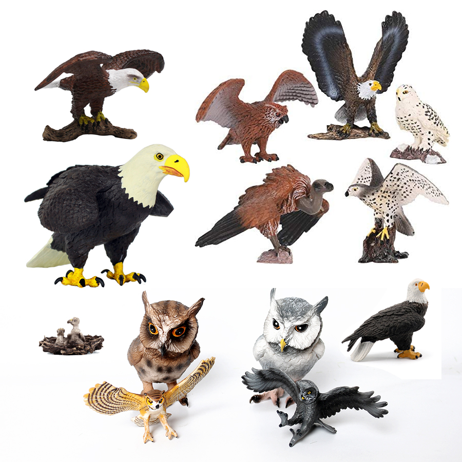 Kids Education Shows - Pássaros de prey de plástico realista