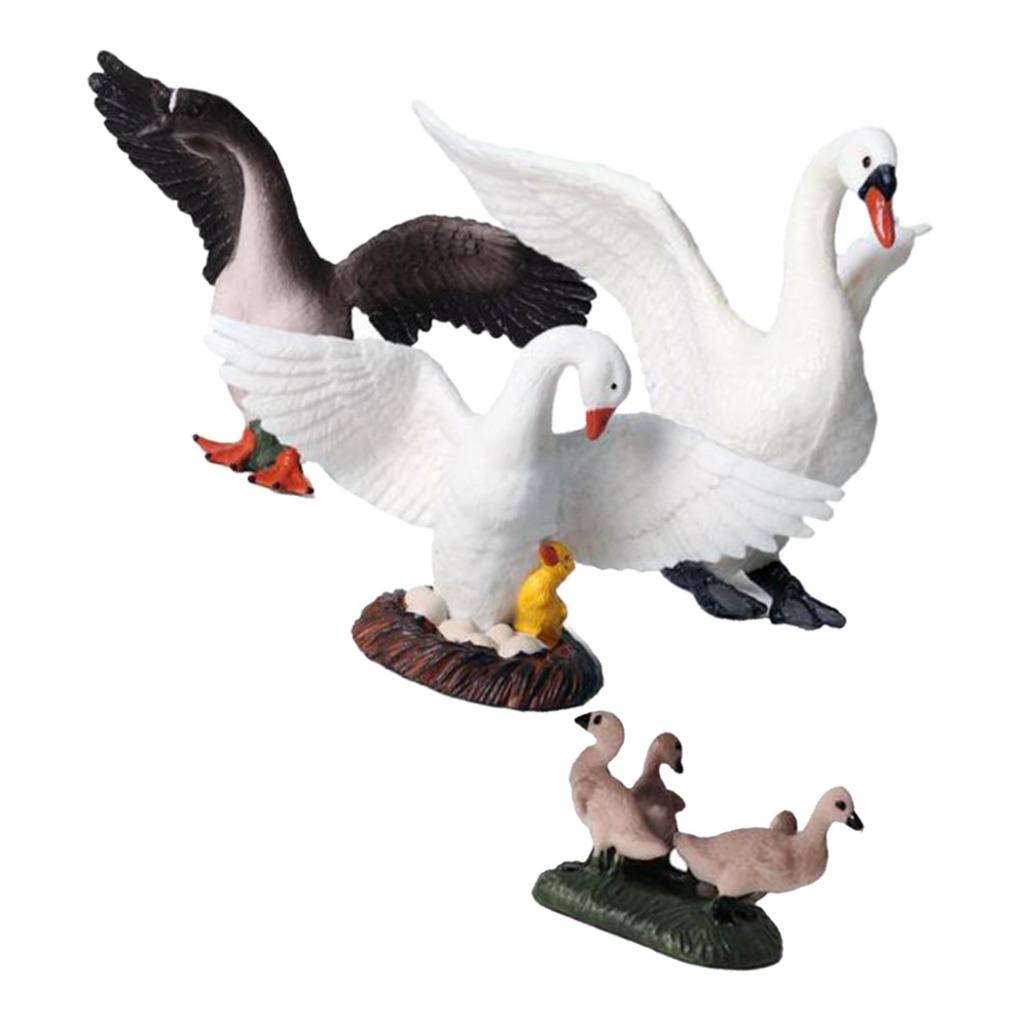 Figuras de cisnes realistas, d - Kids Education Shows avaliação e preço